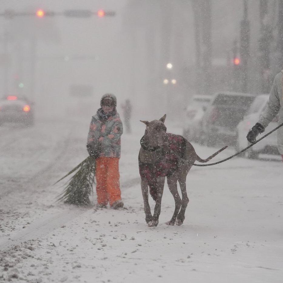 How to survive snow and bitter cold that's reached all the way to the Gulf Coast